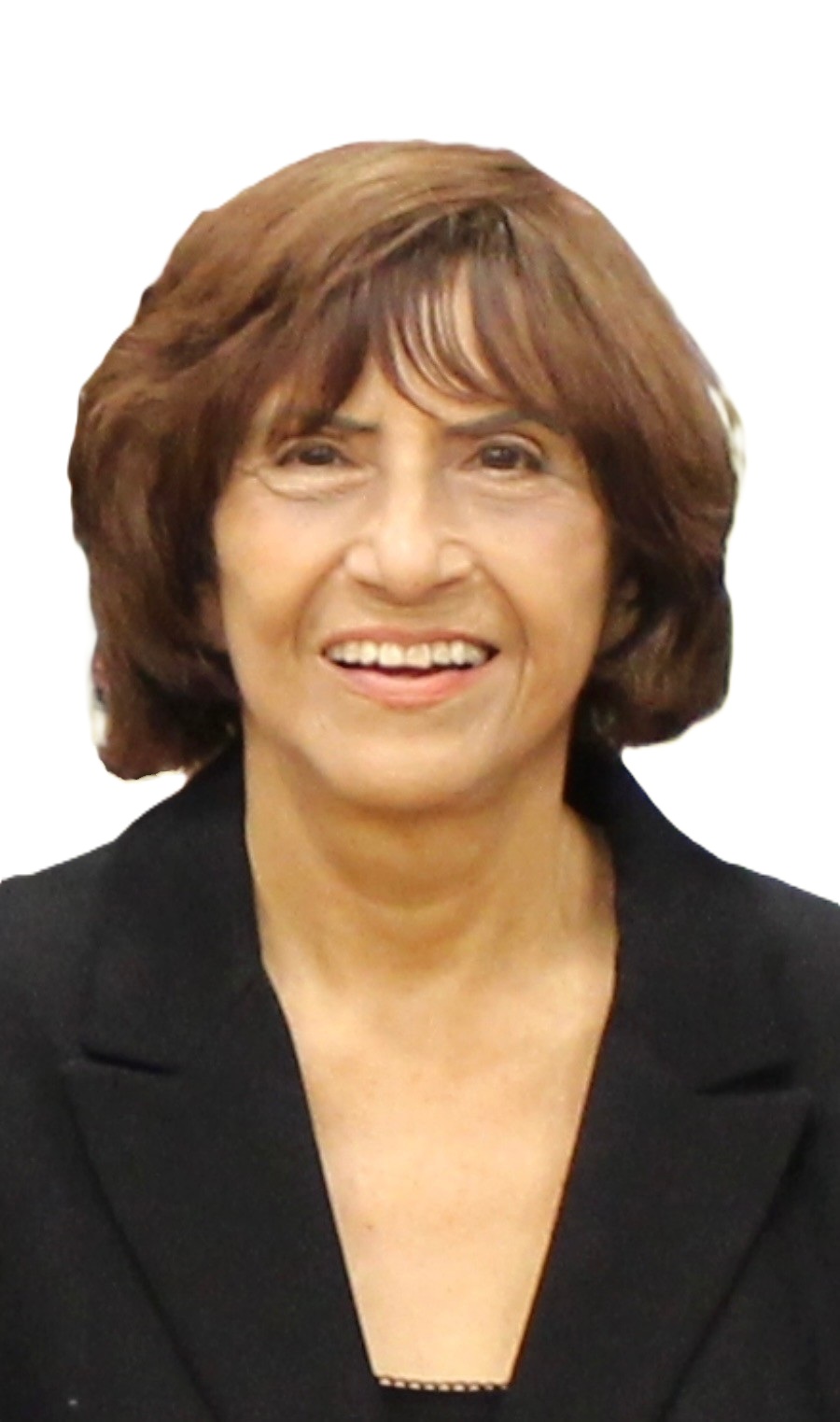 Irene Klaver Obituary on Michigan Memorial Funeral Home